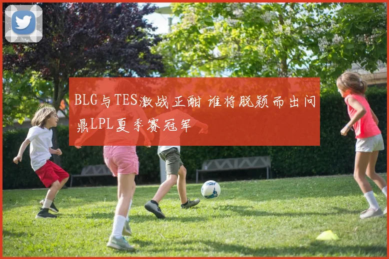 BLG与TES激战正酣 谁将脱颖而出问鼎LPL夏季赛冠军