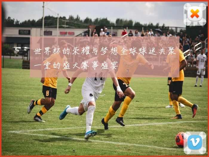 世界杯的荣耀与梦想全球球迷共聚一堂的盛大赛事盛宴