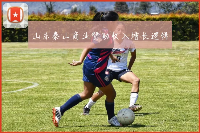 山东泰山商业赞助收入增长逻辑