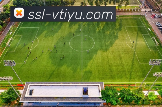 vtiyu平台生态图