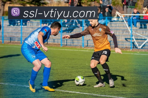 vtiyu平台生态图